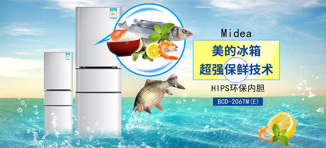 萨萨里音乐学院建筑学文凭证书